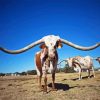 Long Horn Bull Diamond Painting