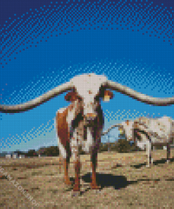 Long Horn Bull Diamond Painting