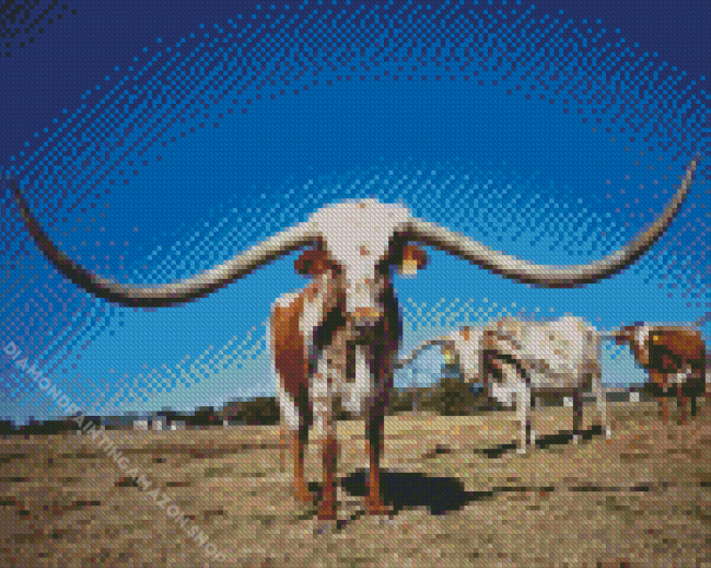 Long Horn Bull Diamond Painting