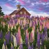 Lupines Flowers Field Diamond Painting