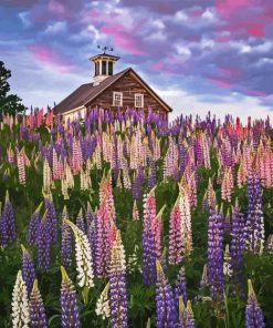 Lupines Flowers Field Diamond Painting