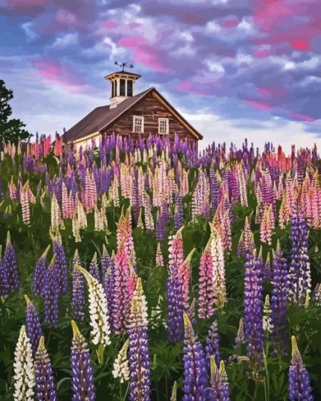 Lupines Flowers Field Diamond Painting