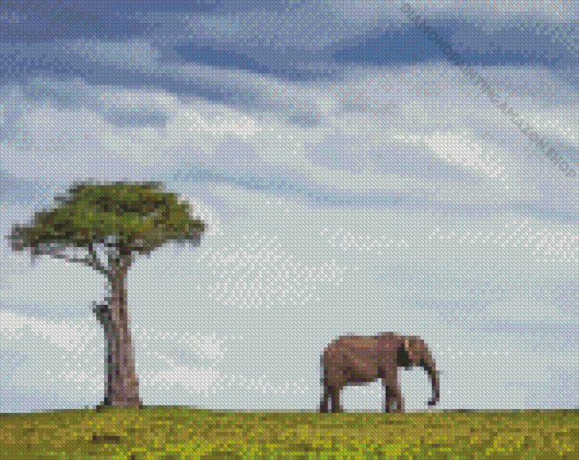 Maasai Mara Elephant Diamond Painting