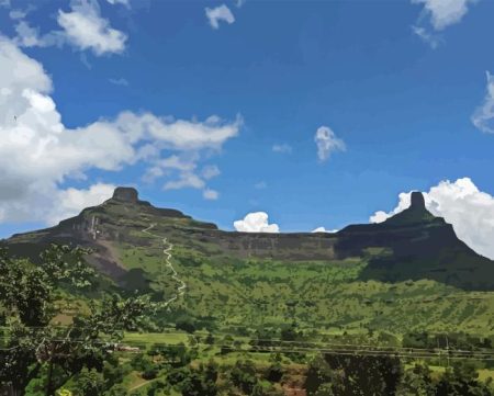 Mangi Tungi Diamond Painting