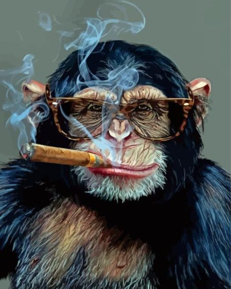 Monkey Smoking Cigar Diamond Painting