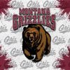 Montana Grizzlies Logo Diamond Painting