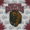 Montana Grizzlies Logo Diamond Painting