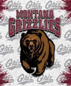 Montana Grizzlies Logo Diamond Painting