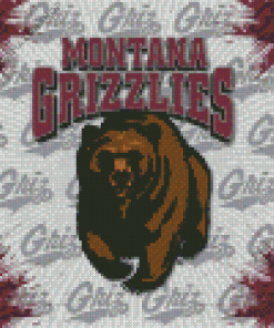 Montana Grizzlies Logo Diamond Painting