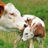 Mother And Baby Cow Diamond Painting