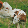 Mother And Baby Cow Diamond Painting