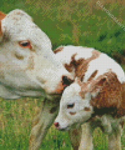 Mother And Baby Cow Diamond Painting