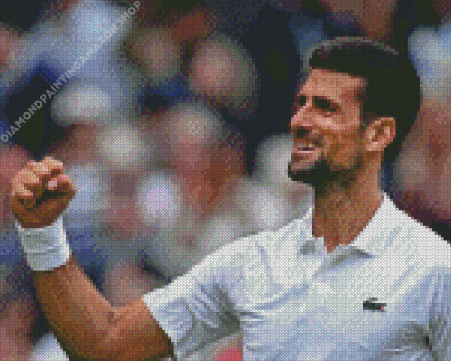 Novak Djokovic Diamond Painting