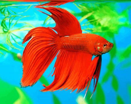 Orange Betta Fish Diamond Painting