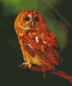 Orange Owl Diamond Painting