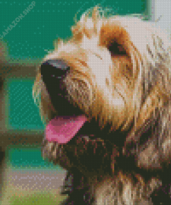 Otterhound Dog Diamond Painting