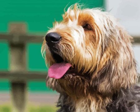 Otterhound Dog Diamond Painting