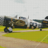 P47 Thunderbolt Diamond Painting