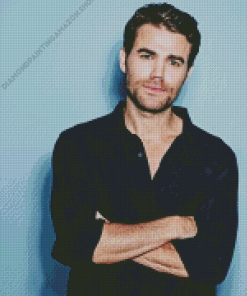 Paul Wesley Diamond Painting