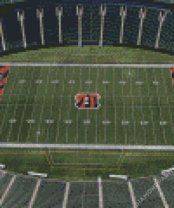 Paul Brown Stadium Diamond Painting