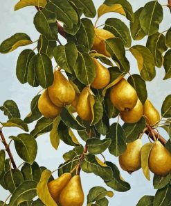 Pears Still Life Tree Diamond Painting