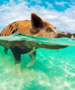 Pig In The Beach Diamond Painting