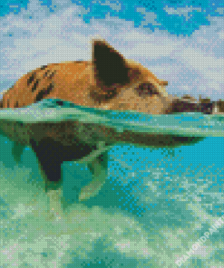 Pig In The Beach Diamond Painting