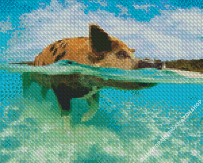 Pig In The Beach Diamond Painting