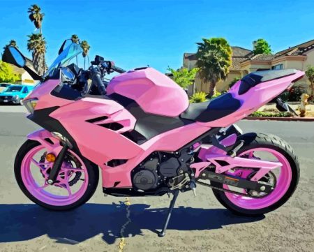 Pink Motorcycle Diamond Painting