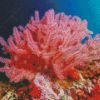 Pink Sea Fan Corals Diamond Painting