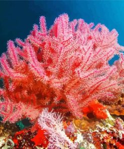 Pink Sea Fan Corals Diamond Painting