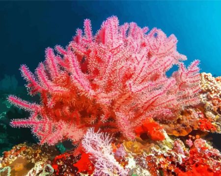 Pink Sea Fan Corals Diamond Painting