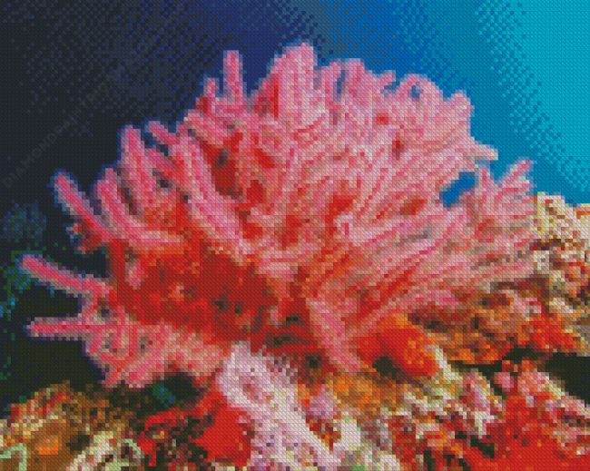 Pink Sea Fan Corals Diamond Painting