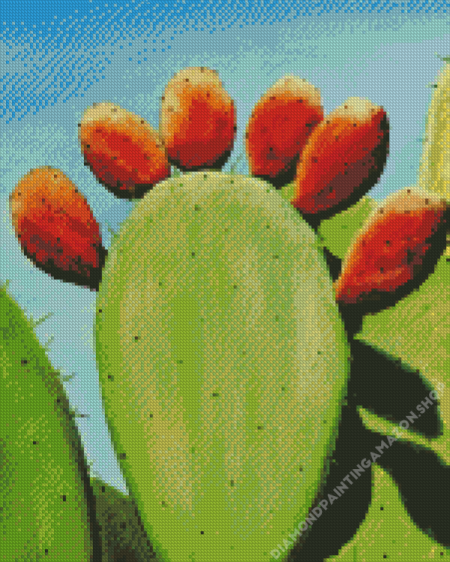 Prickly Pears Diamond Painting