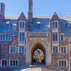 Princeton University Diamond Painting