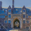 Princeton University Diamond Painting