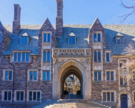 Princeton University Diamond Painting