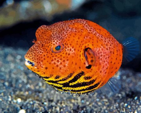 Puffer Fish Diamond Painting
