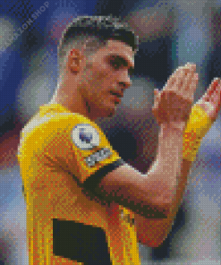 Raul Jimenez Diamond Painting