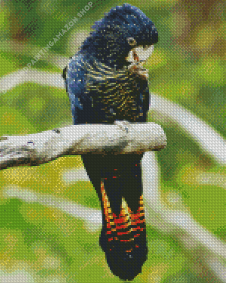 Red Tailed Black Cockatoo Diamond Painting