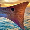 Redfish Tail Diamond Painting