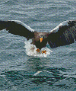 Sea Eagle Catching Fish Diamond Painting