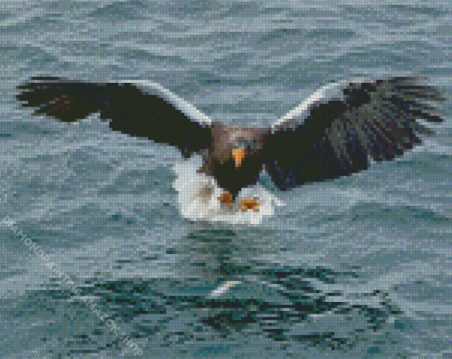 Sea Eagle Catching Fish Diamond Painting