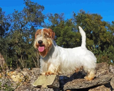 Sealyham Diamond Painting