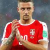 Sergej Milinkovic Savic Diamond Painting