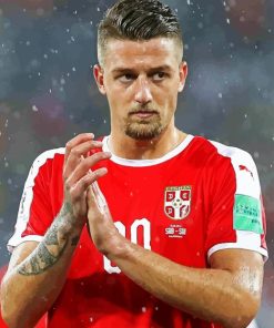 Sergej Milinkovic Savic Diamond Painting