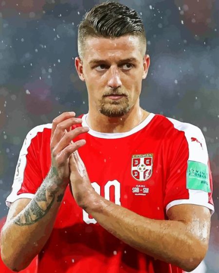 Sergej Milinkovic Savic Diamond Painting