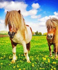 Shetland Ponies Diamond Painting