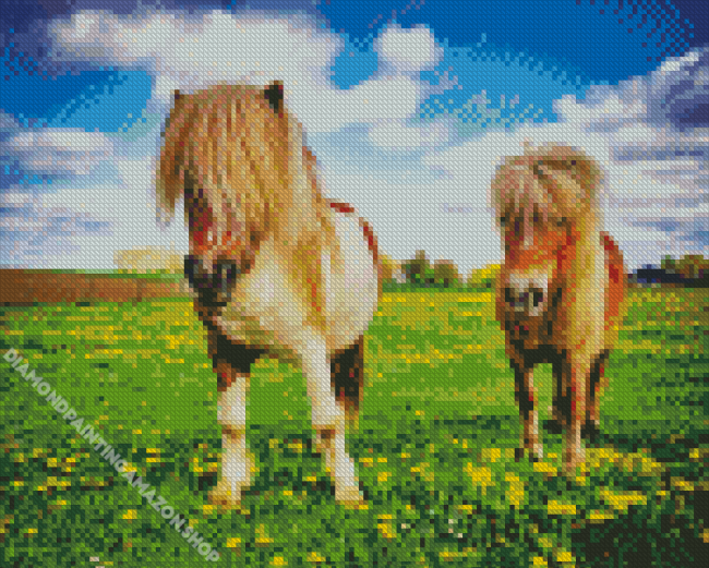 Shetland Ponies Diamond Painting