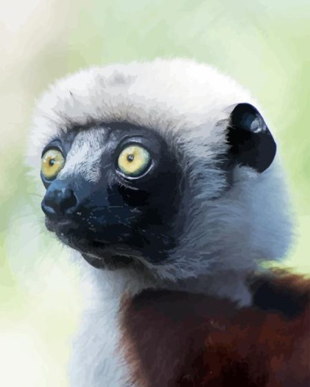 Sifaka Diamond Painting
